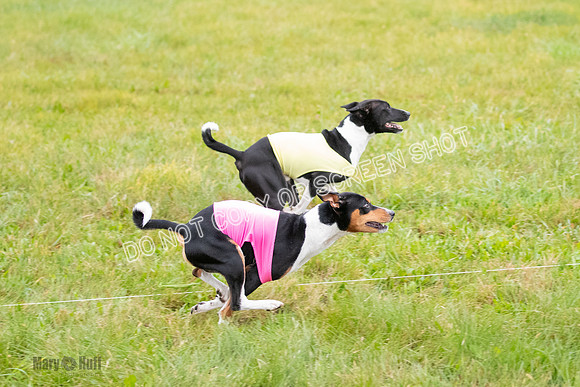 Prelim, Special 1, Axion-Dreamer-7698