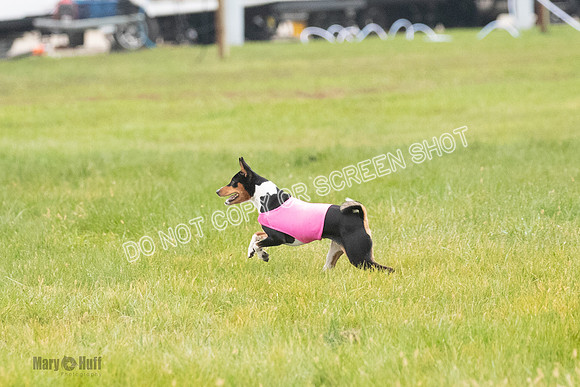 Prelim, Special 1, Axion-Dreamer-7713