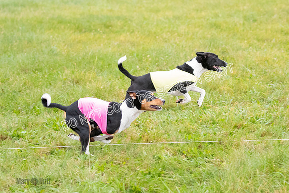 Prelim, Special 1, Axion-Dreamer-7695
