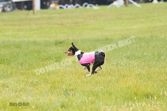 Prelim, Special 1, Axion-Dreamer-7712
