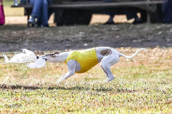 Finals Fch 1 Celine Huxley-4033