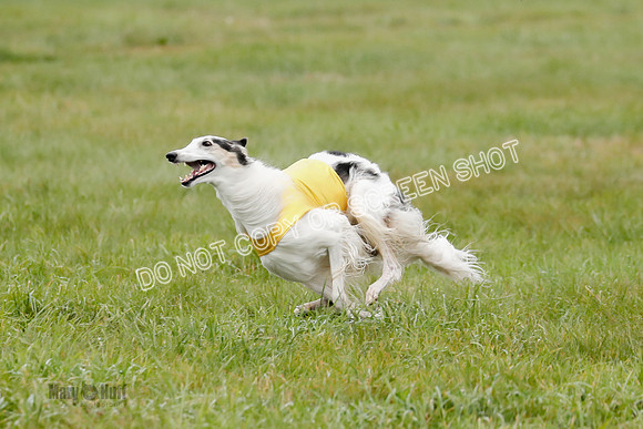 Final, Open 2, Bashert-Dash-8376