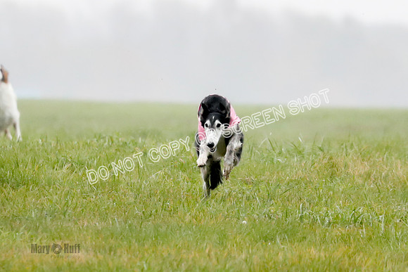 Final, Specials 2, Karma-Audra-Louie-8472
