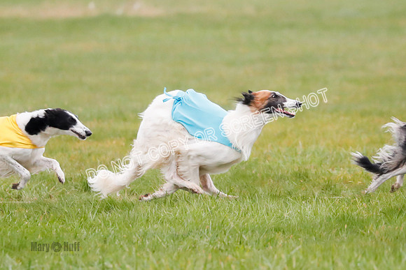 Final, Specials 2, Karma-Audra-Louie-8449