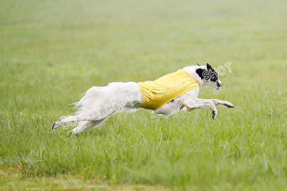 Final, Specials 2, Karma-Audra-Louie-8461