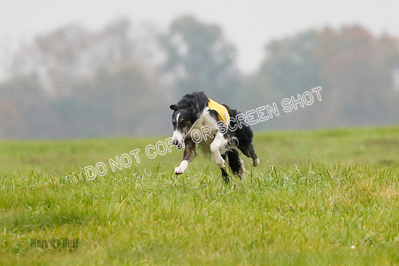 Final, Open 1, Billy-Pixie-8347