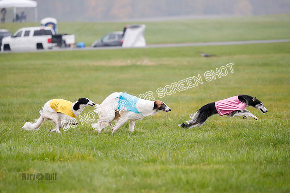 Final, Specials 2, Karma-Audra-Louie-8448