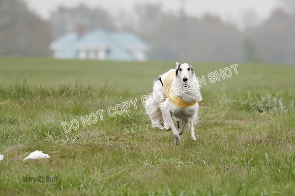 Final, Open 2, Bashert-Dash-8371
