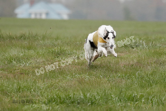 Final, Open 2, Bashert-Dash-8373