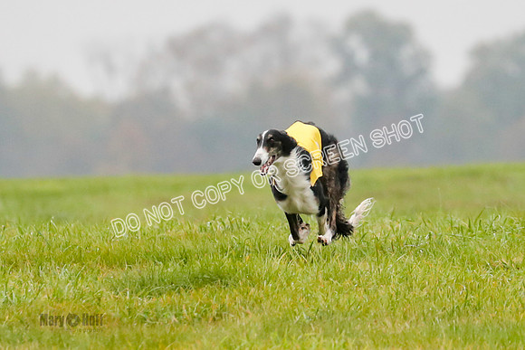 Final, Open 1, Billy-Pixie-8350