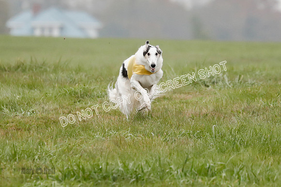 Final, Open 2, Bashert-Dash-8372