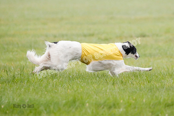 Final, Specials 2, Karma-Audra-Louie-8453