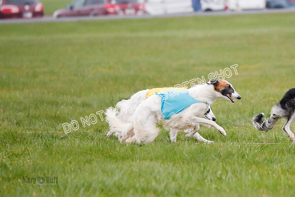 Final, Specials 2, Karma-Audra-Louie-8447
