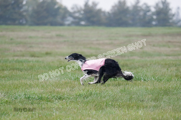Final, Open 2, Bashert-Dash-8395