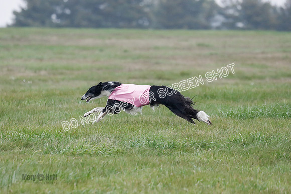Final, Open 2, Bashert-Dash-8397