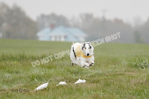 Final, Open 2, Bashert-Dash-8368