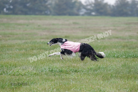 Final, Open 2, Bashert-Dash-8396