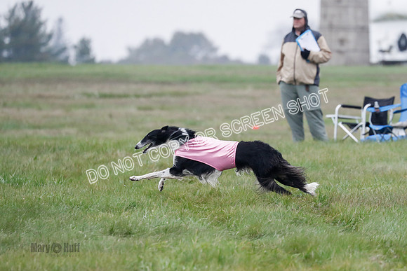Final, Open 2, Bashert-Dash-8392