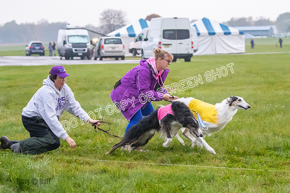 Prelim, Open 1, Bashert-Billy-6477
