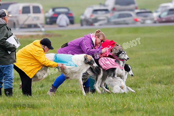 Final, Specials 2, Karma-Audra-Louie-8443