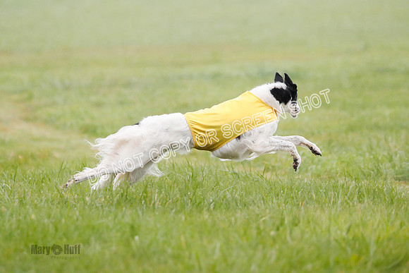 Final, Specials 2, Karma-Audra-Louie-8457