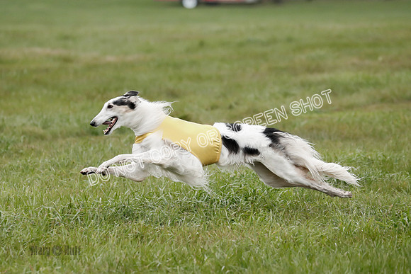 Final, Open 2, Bashert-Dash-8384