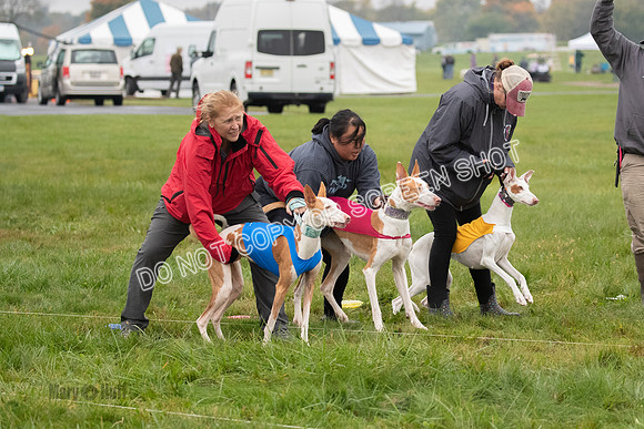 Prelim 1, Open, Flora Fable Karma-7727