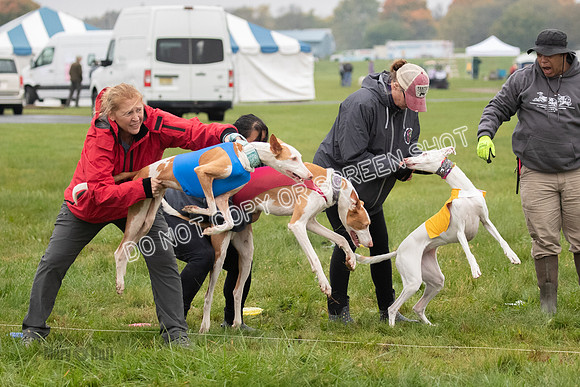 Prelim 1, Open, Flora Fable Karma-7731
