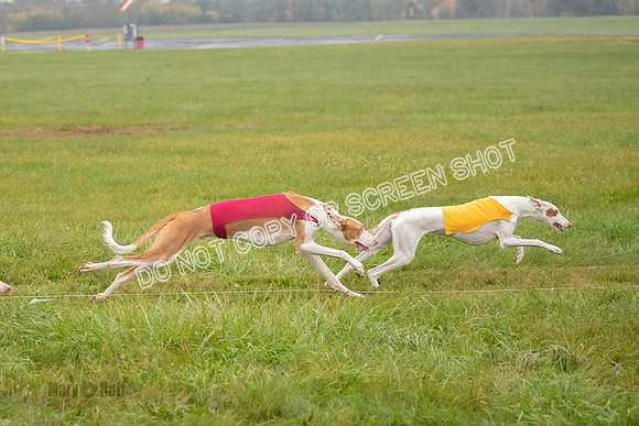 Prelim 1, Open, Flora Fable Karma-7752
