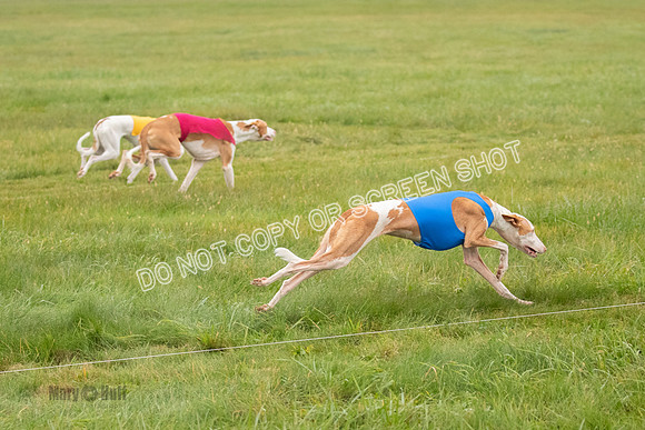 Prelim 1, Open, Flora Fable Karma-7761
