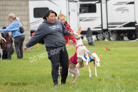 Prelim 1, Open, Flora Fable Karma-7717