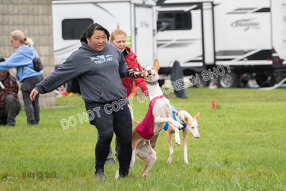 Prelim 1, Open, Flora Fable Karma-7716