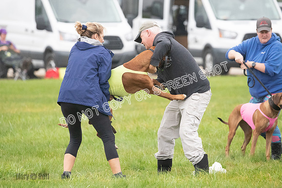 Prelim, Specials 2, Reilly-Scrappy Coco- Asa-7117