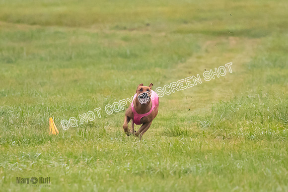 Prelim, Open 1, Wick-Fia-Wallie Woo-6837