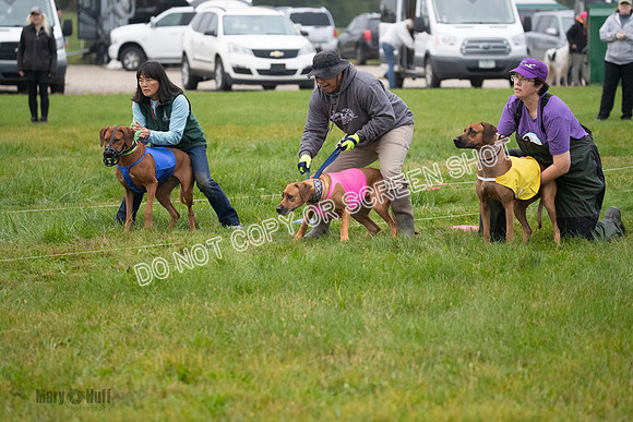 Prelim, Specials 2, Tori-Taya-Mellee-6957