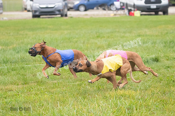 Prelim, Specials 2, Tori-Taya-Mellee-6980