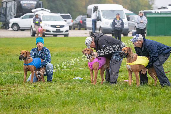 Prelim, Specials 1, Zayin-Apple Pie-Jinx-6889