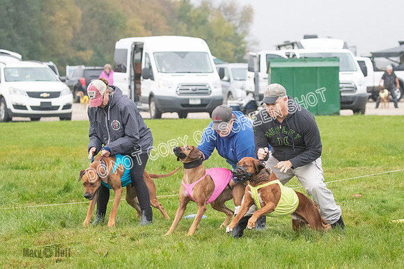 Prelim, Specials 2, Reilly-Scrappy Coco- Asa-7029