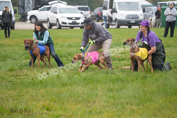 Prelim, Specials 2, Tori-Taya-Mellee-6956