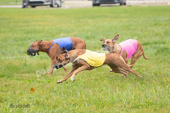 Prelim, Specials 2, Tori-Taya-Mellee-6981