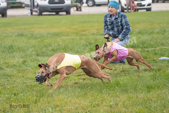 Prelim, Specials 1, Zayin-Apple Pie-Jinx-6903