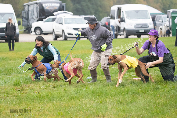 Prelim, Specials 2, Tori-Taya-Mellee-6968