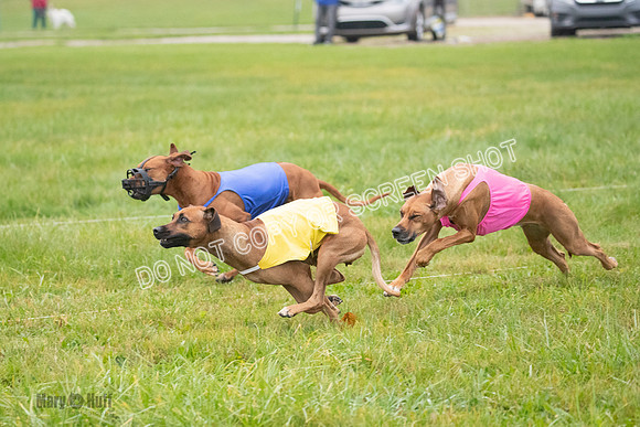 Prelim, Specials 2, Tori-Taya-Mellee-6983