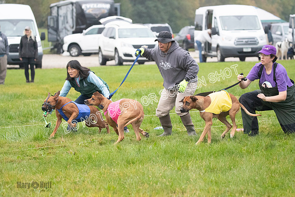 Prelim, Specials 2, Tori-Taya-Mellee-6969