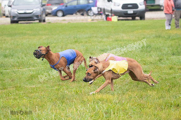 Prelim, Specials 2, Tori-Taya-Mellee-6979
