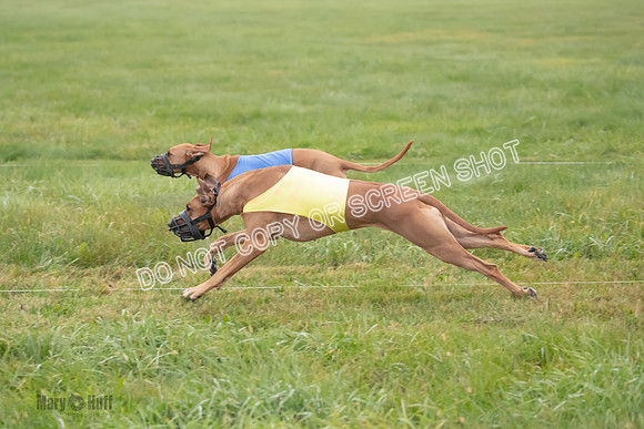 Prelim, Specials 1, Zayin-Apple Pie-Jinx-6911
