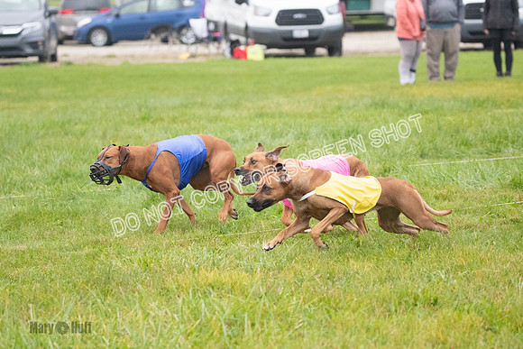 Prelim, Specials 2, Tori-Taya-Mellee-6978