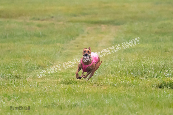 Prelim, Open 1, Wick-Fia-Wallie Woo-6832