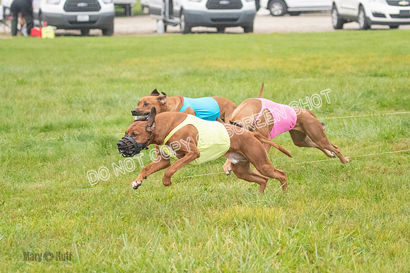 Prelim, Specials 2, Reilly-Scrappy Coco- Asa-7039