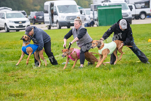 Prelim, Open 1, Wick-Fia-Wallie Woo-6802